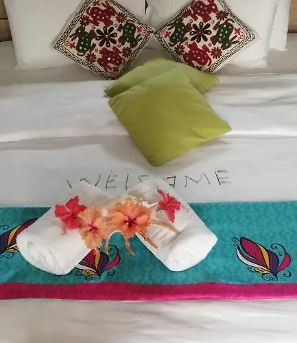Ocean Bird & Wanita's Self Catering * Pointe Au Sel