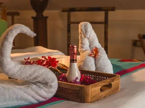 Ocean Bird & Wanita's Self Catering * Pointe Au Sel